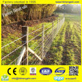 Cheap factory galvanized fencing farmgalvanized fencing/ (BV & ISO & SGS)